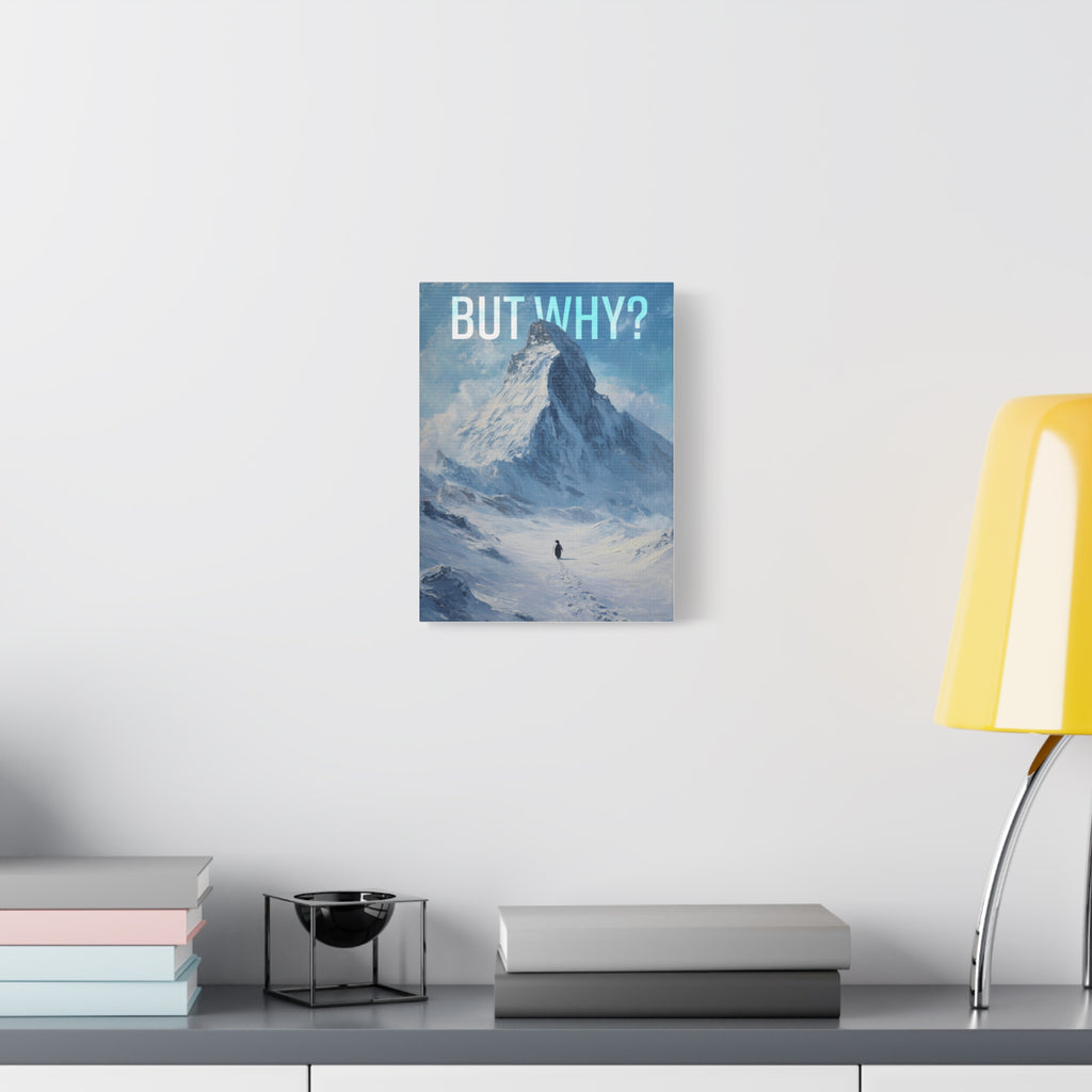 But Why? Mountain Landscape Canvas