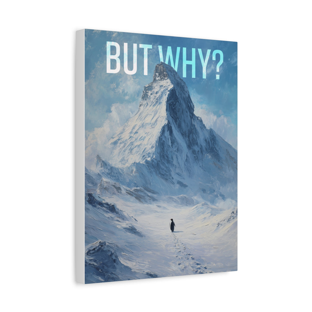 But Why? Mountain Landscape Canvas
