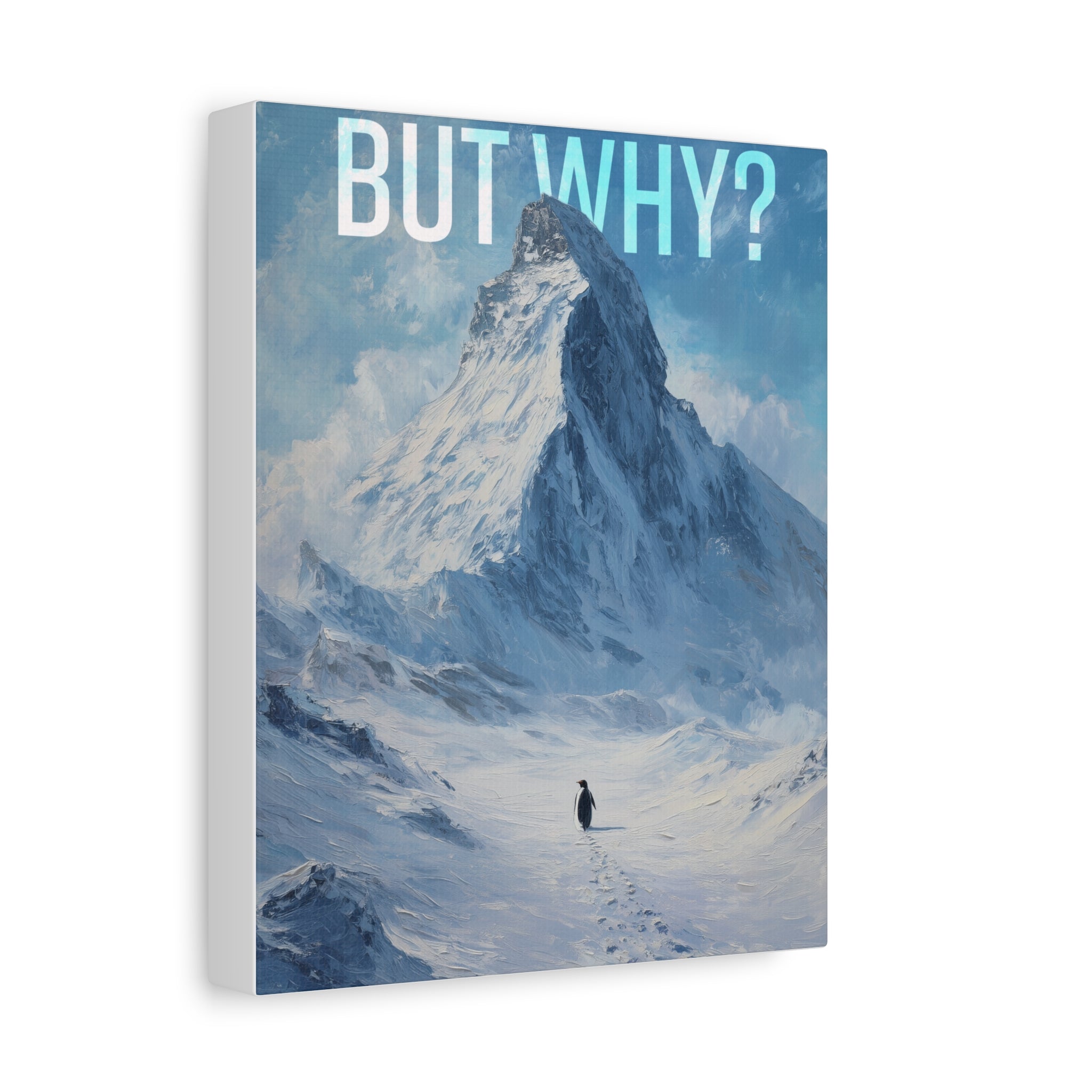 But Why? Mountain Landscape Canvas