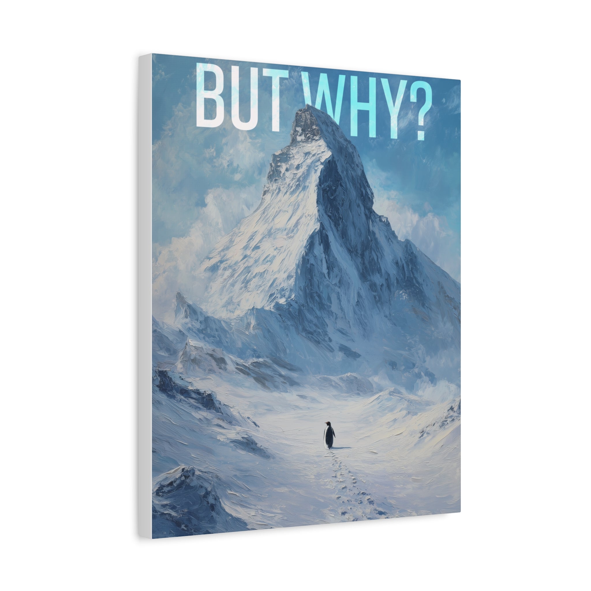 But Why? Mountain Landscape Canvas