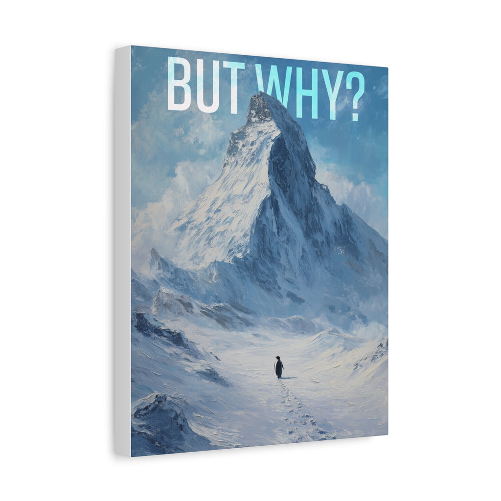 But Why? Mountain Landscape Canvas