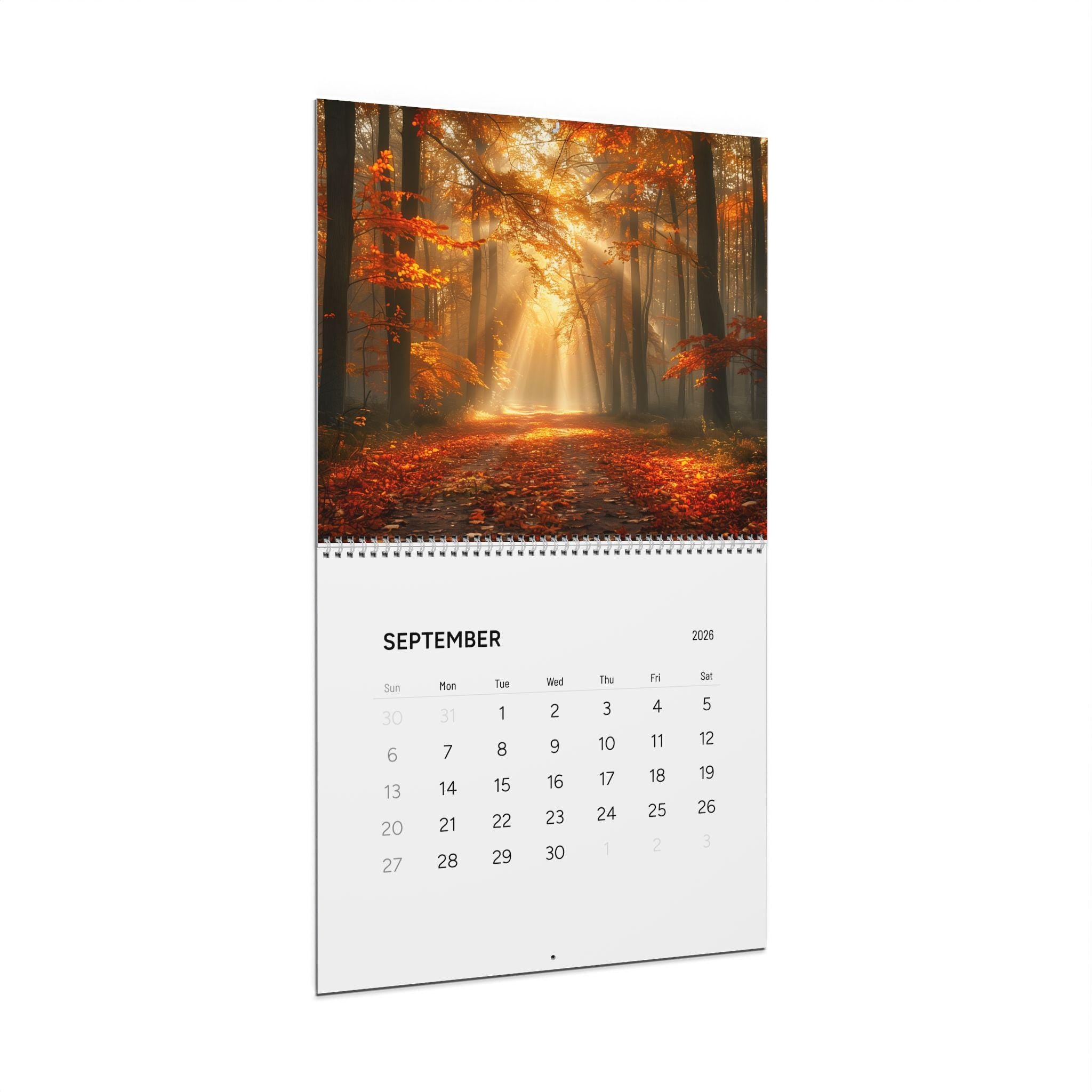 Scenic Forest Photography Wall Calendar 2026 | Seasonal Nature Landscapes
