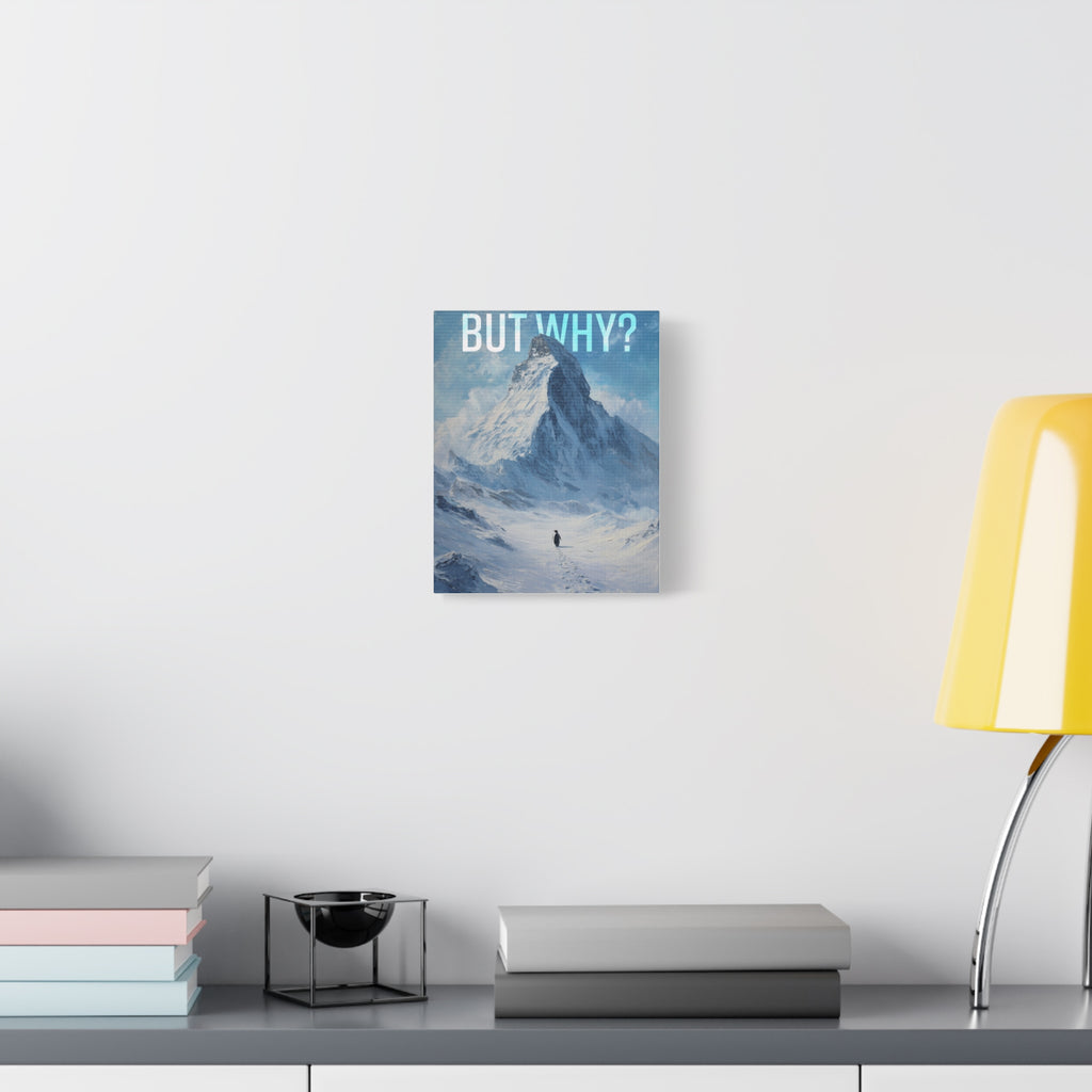 But Why? Mountain Landscape Canvas